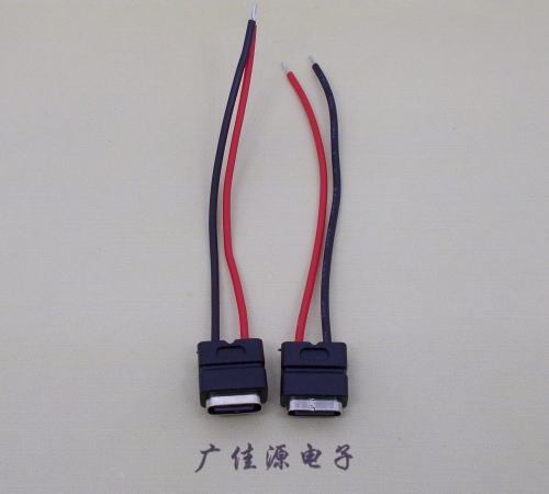 抚州type c2p防水母座焊线式带线注塑成型带接线端子/不带接线端子充电连接器